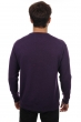 Baby Alpaca men nestor alpa purple 3xl